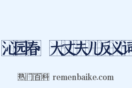 沁园春·大丈夫儿反义词是什么意思的图片